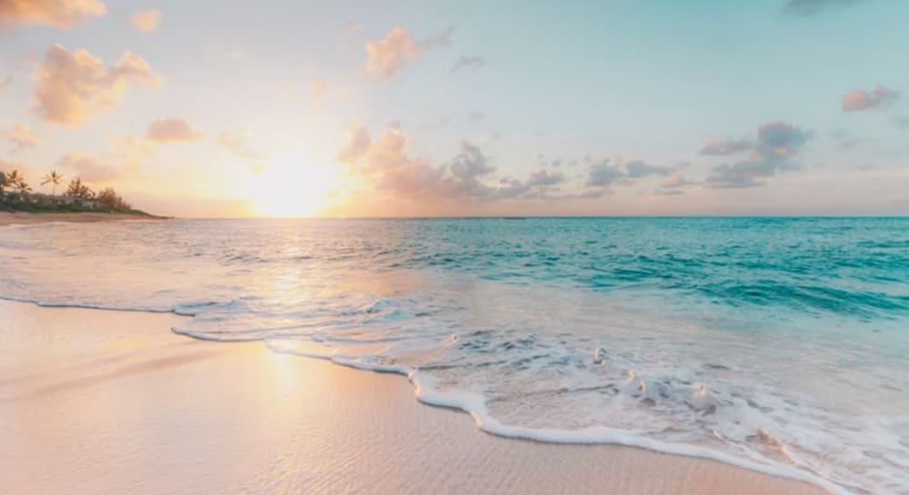 Rose Island Beaches